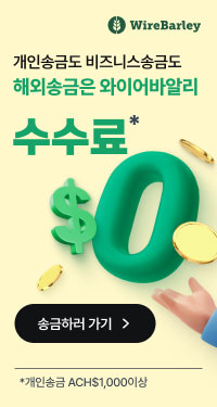 와이어바알리(주마다 배너 교체)