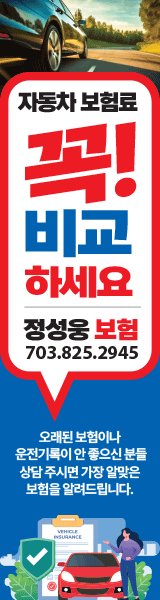 정성웅 자동차 보험