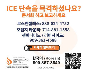 이민단속