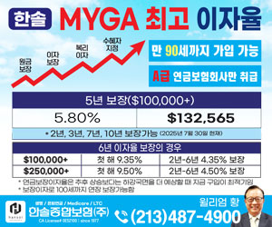 한솔보험