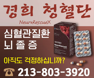 경희청혈단
