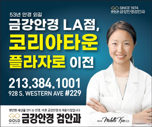 금강안경