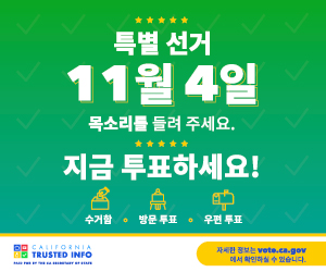 투표독려